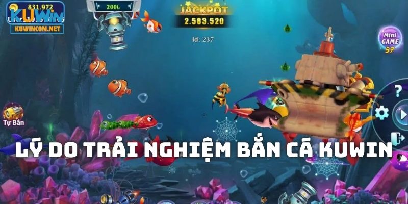 Lý do nên trải nghiệm Bắn Cá KUWIN ngay hôm nay